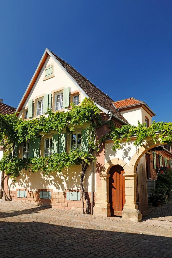 Gaestehaus Zum Weinbauer Rhodt unter Rietburg Εξωτερικό φωτογραφία