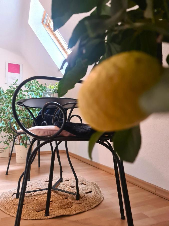 Gaestehaus Zum Weinbauer Rhodt unter Rietburg Εξωτερικό φωτογραφία